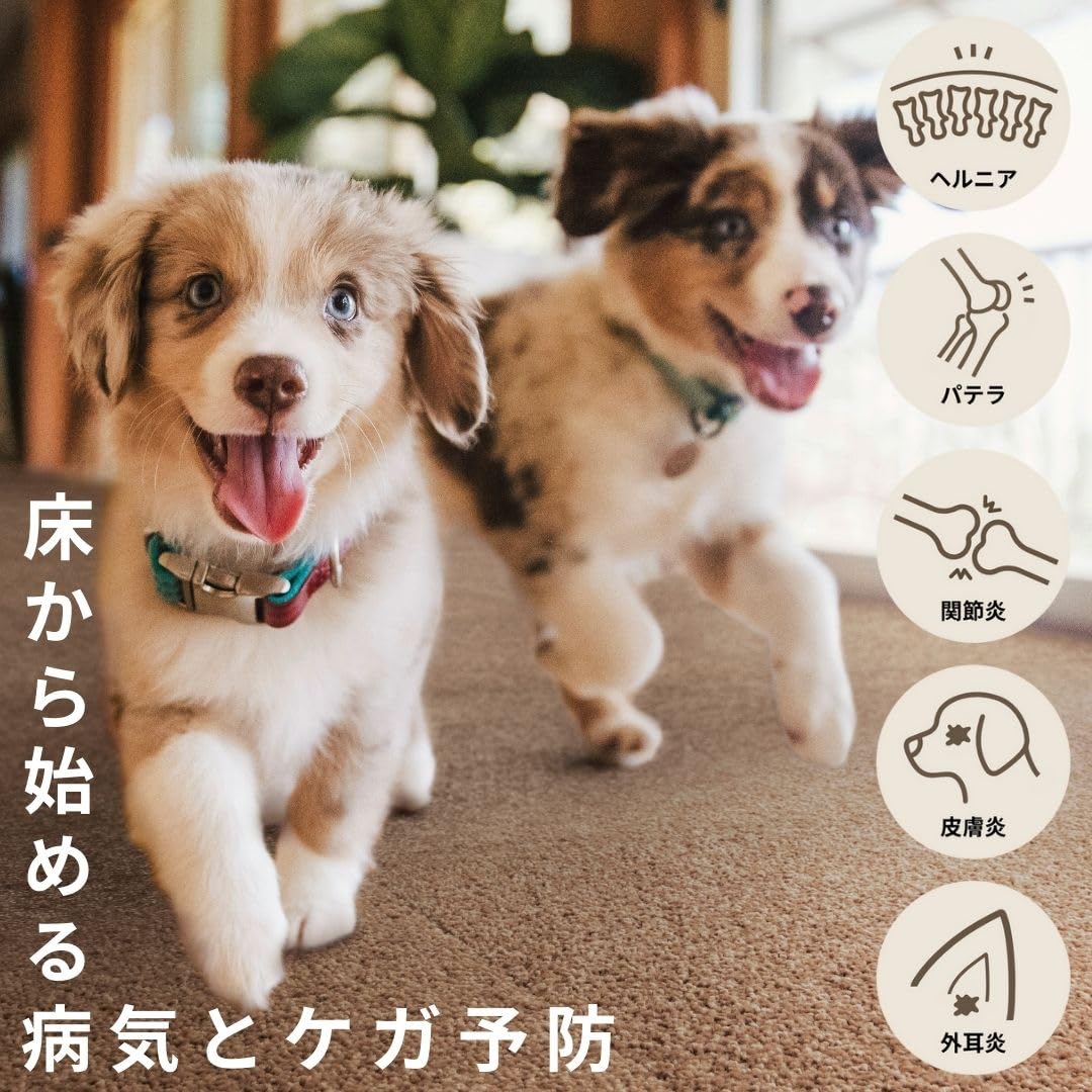 Amazon.co.jp: 撥水カーペット UKU ペットマット ベージュ ブラウン