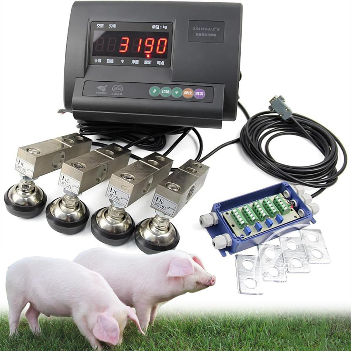 Kit de balance électronique pour bétail éliminant les erreurs de pesage des chèvres