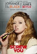 ActionClub 14x21 inch Orange Is the New Black Season 2 Silk Poster 0GS0-6EF