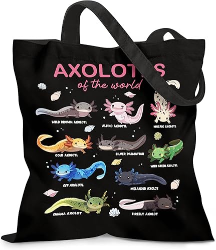 Miniatura 26 de Bolsa de lona estética para mujer, con cierre magnético a presión y bolsillo interior con cremallera, bolsa reutilizable Chica