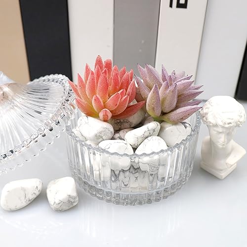 Miniatura 5 de QINJIEJIE Piedras pulidas de howlita blanca, cristales caídos, piedras preciosas a granel, piedras curativas de cuarzo, juego de rocas decorativas,