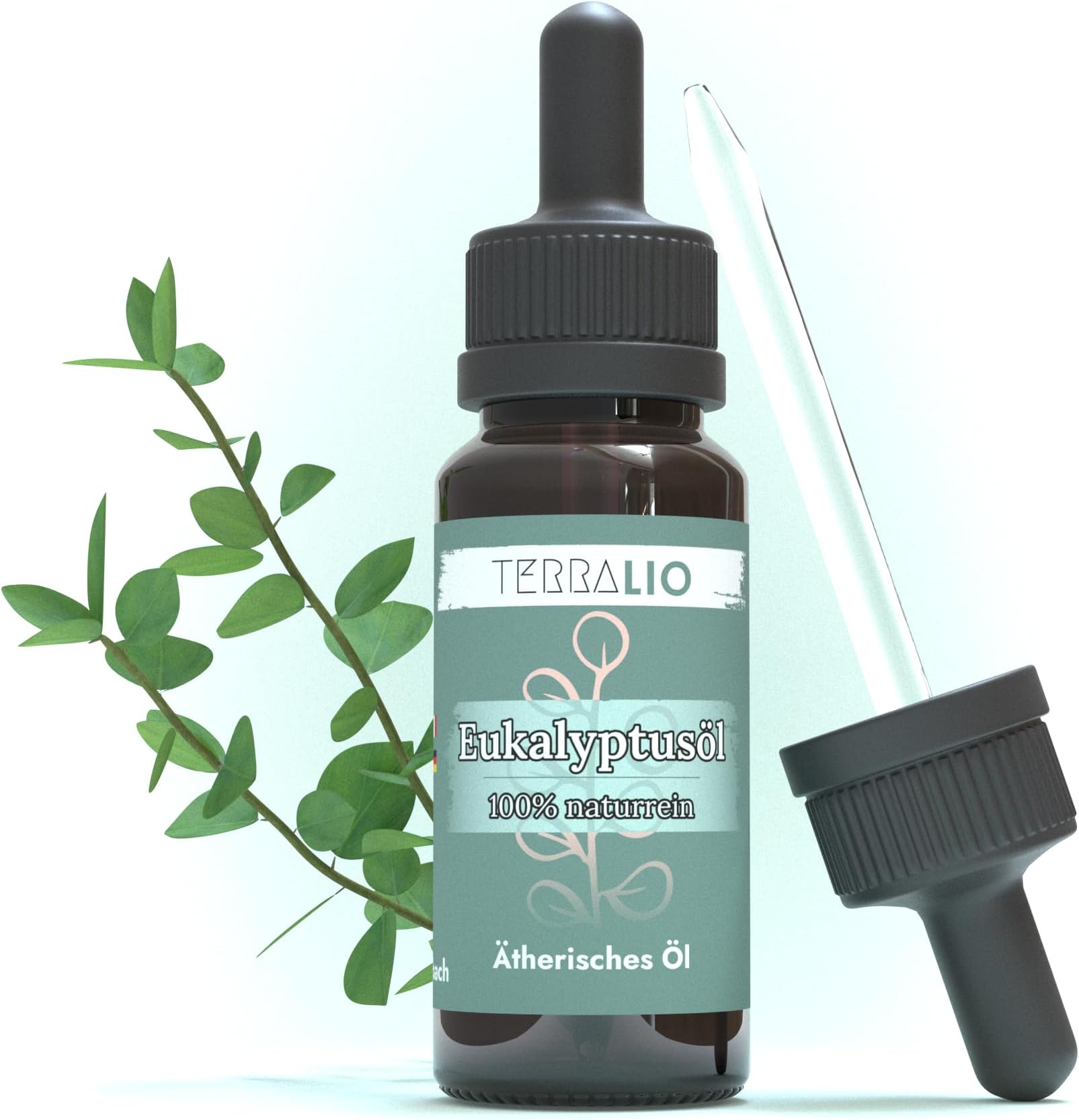 Schmieds Cremen Und Socken - Eukalyptusöl 100% Naturrein 10ml