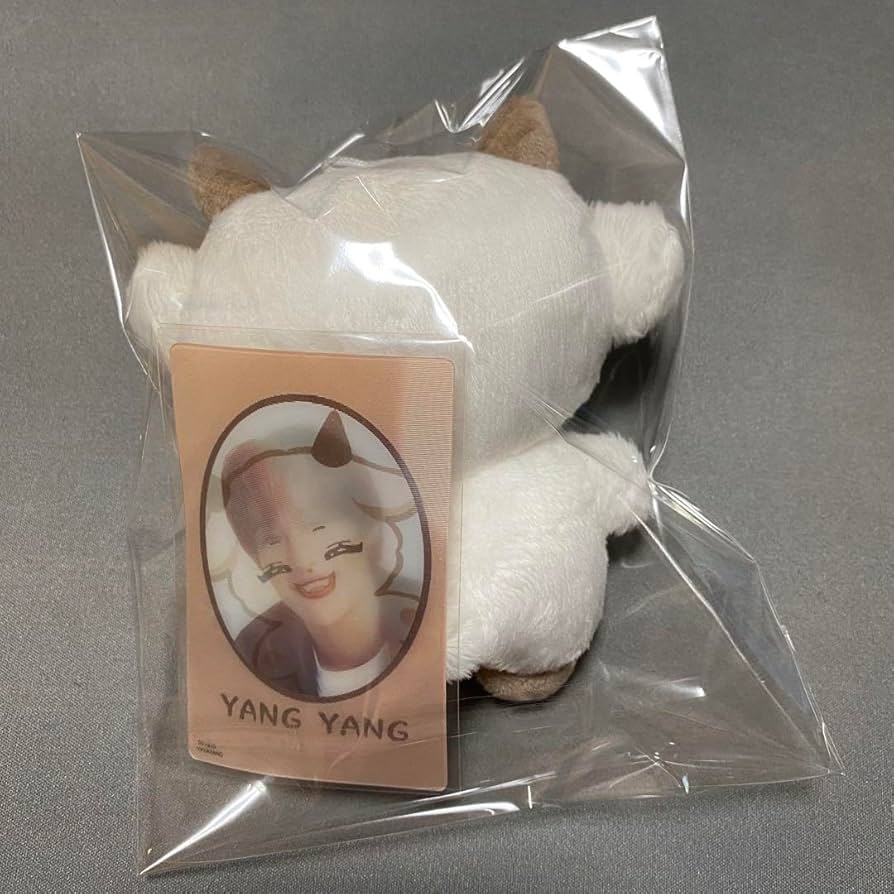 wayv ヤンヤン　ぬいぐるみ　10cm 新品　マスター Amazon.co.jp: wayv ヤンヤン ぬいぐるみ 10cm マスター : おもちゃ