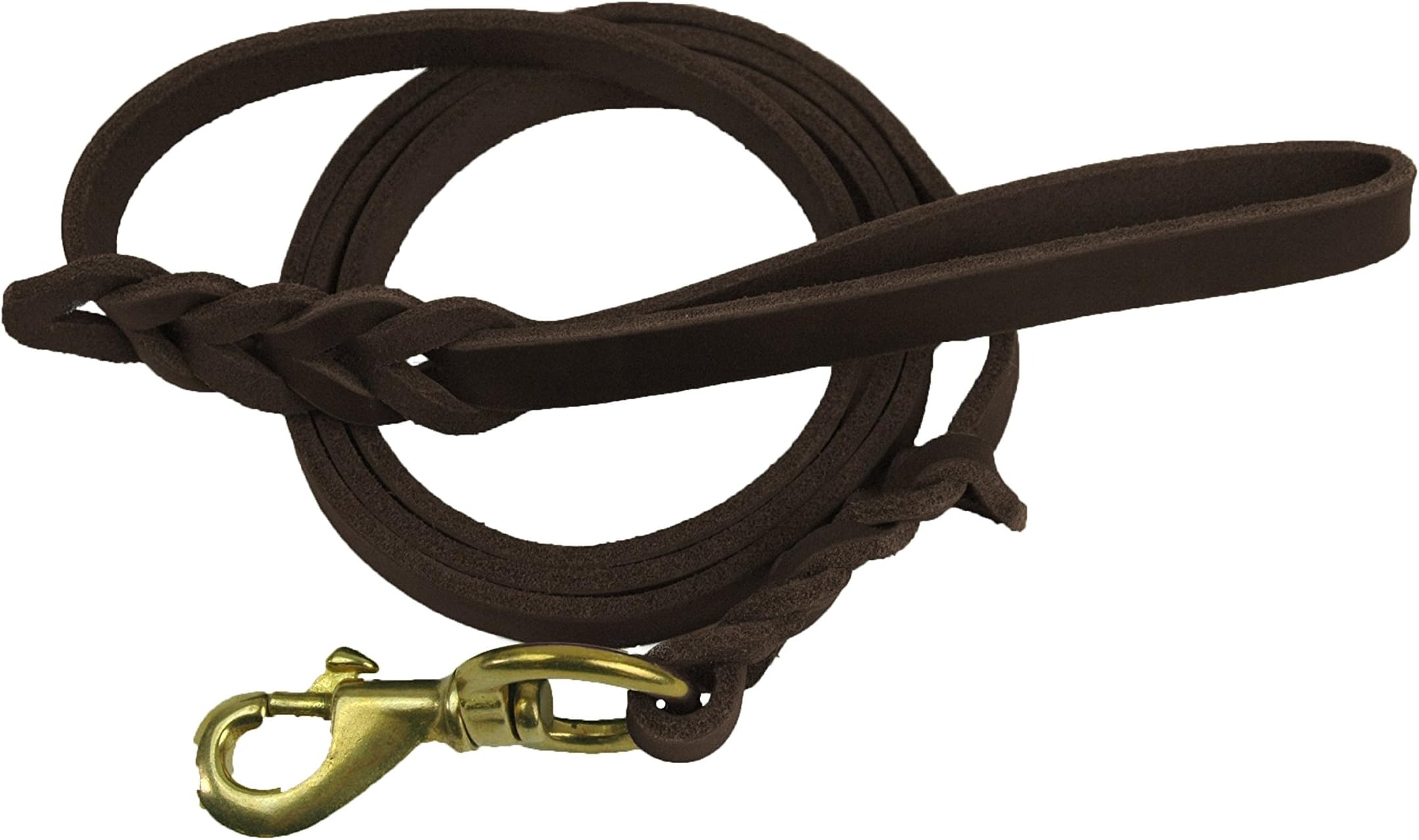 Premier 6ft Leather Dog Training Leash-Great Option for Hunting Dogs or General Obedience in the Backyard.