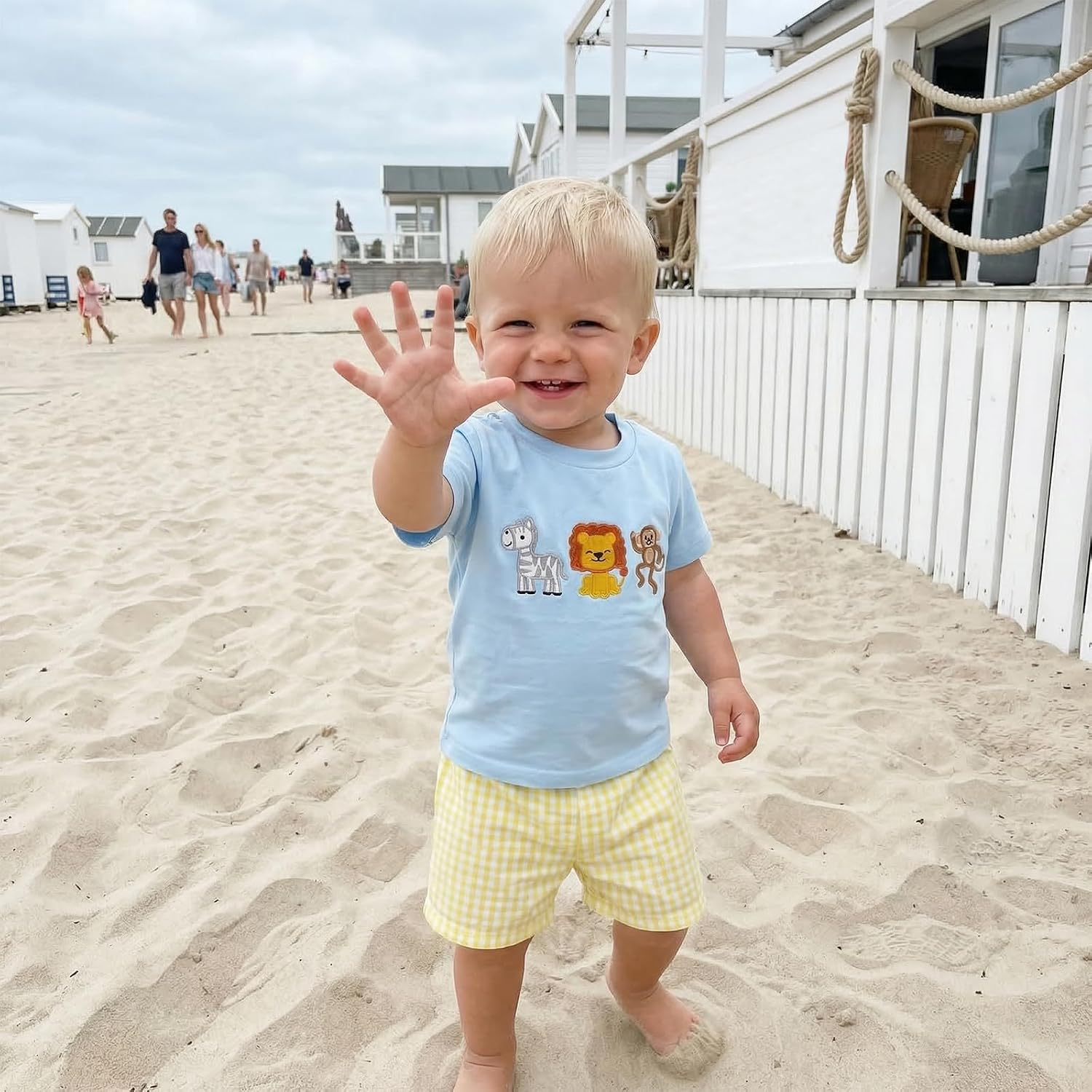 Infant Toddler Baby Boy Summer Clothes Short Sleeve Zoo Animal T-Shirt Top Plaid Shorts Set Birthday Party Outfit