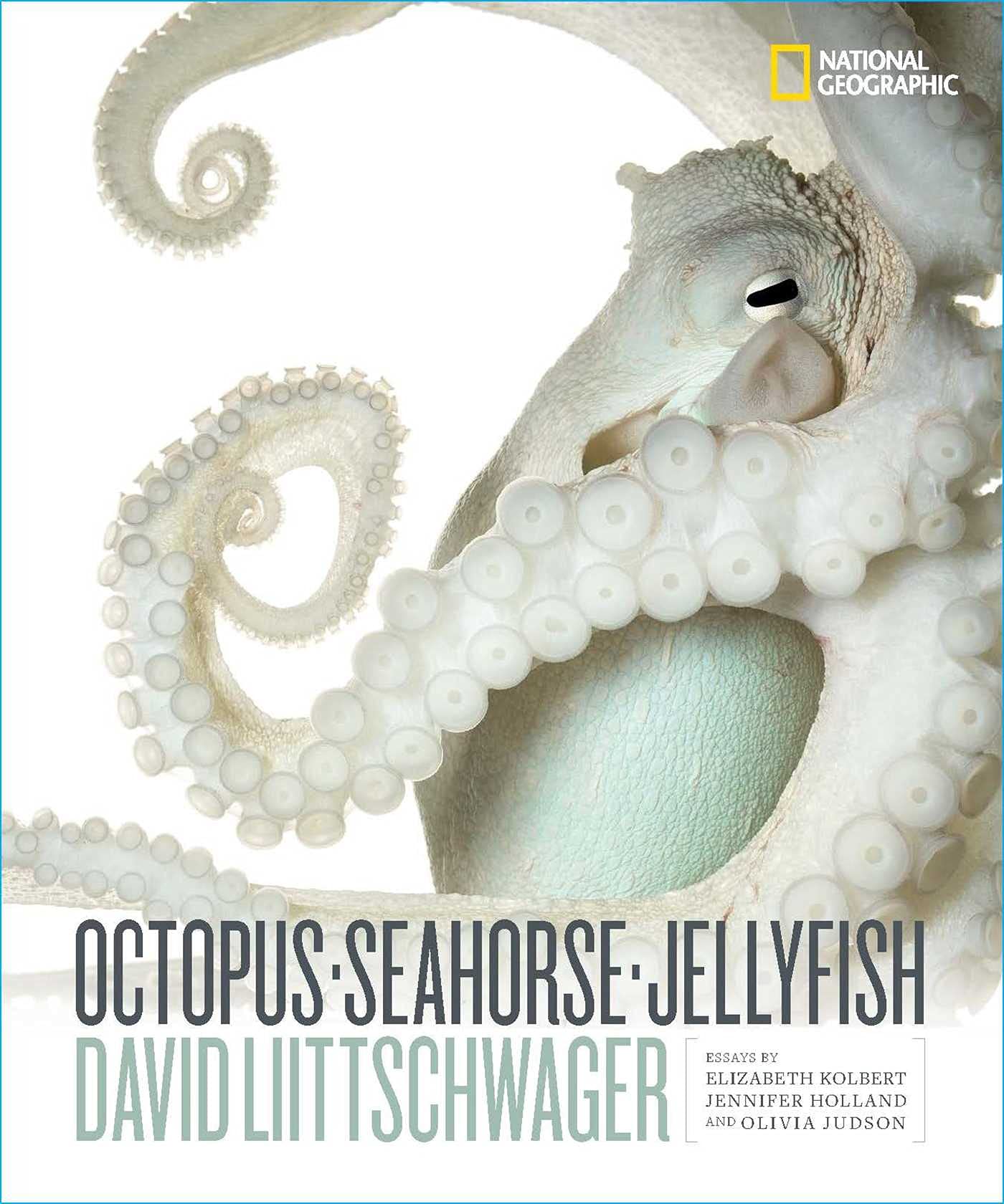National Geographic Octopus, Seahorse, Jellyfish
