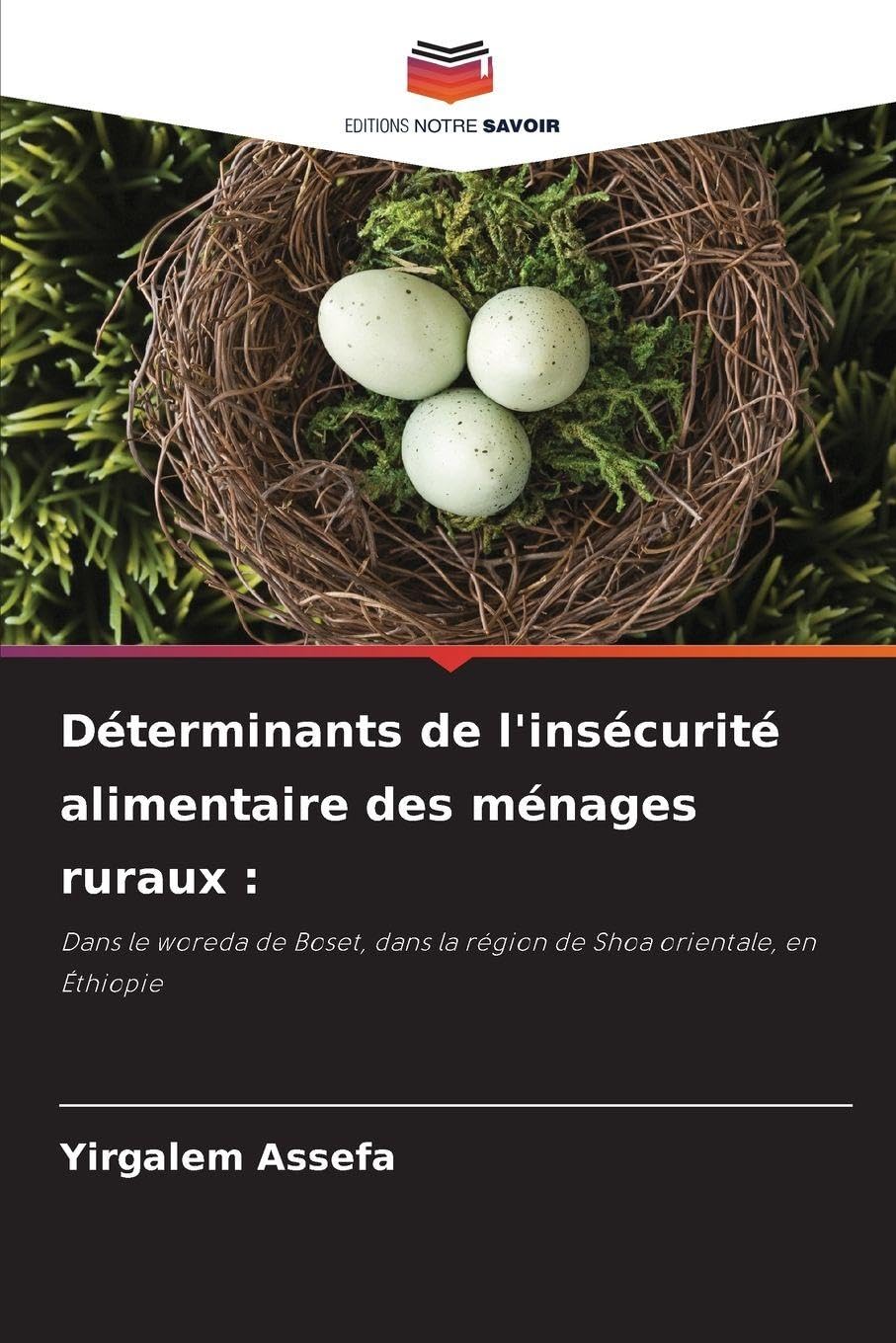 Déterminants de l'insécurité alimentaire des ménages ruraux: Dans le woreda de Boset, dans la région de Shoa orientale, en Éthiopie