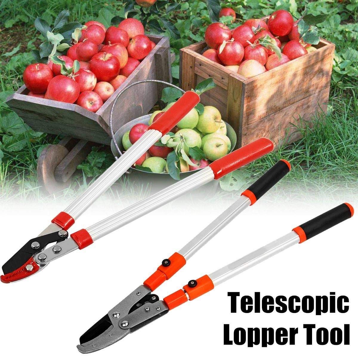 Forbici da Giardino estensibili Portatili, cesoie telescopiche a cricchetto, potatori, cesoie estensibili, cesoie per Rami, Utensili da potatura, Utensili manuali da Giardinaggio