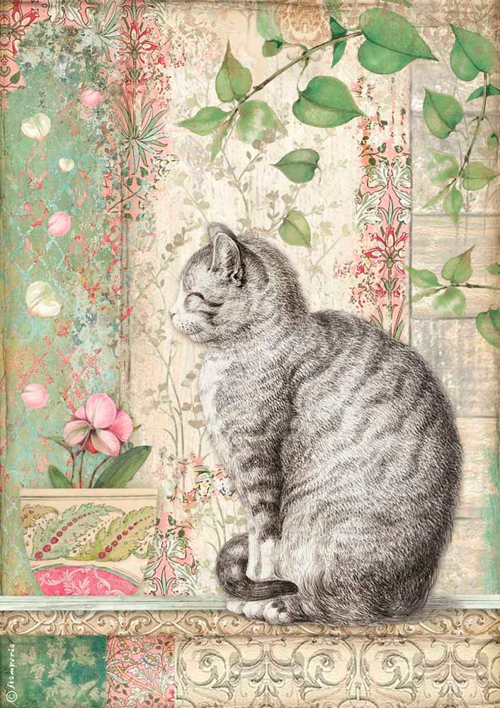 Stamperia Rice Paper-Cat, Various, A4