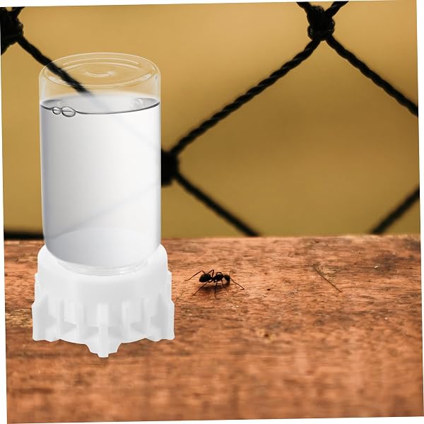 Toddmomy Distributeur d'eau pour Animaux De Compagnie Abreuvoir pour Fourmis Distributeur De Liquide pour Fourmis Dispositif d'alimentation pour Fourmis Bouteille d'eau pour Fourmis - 3