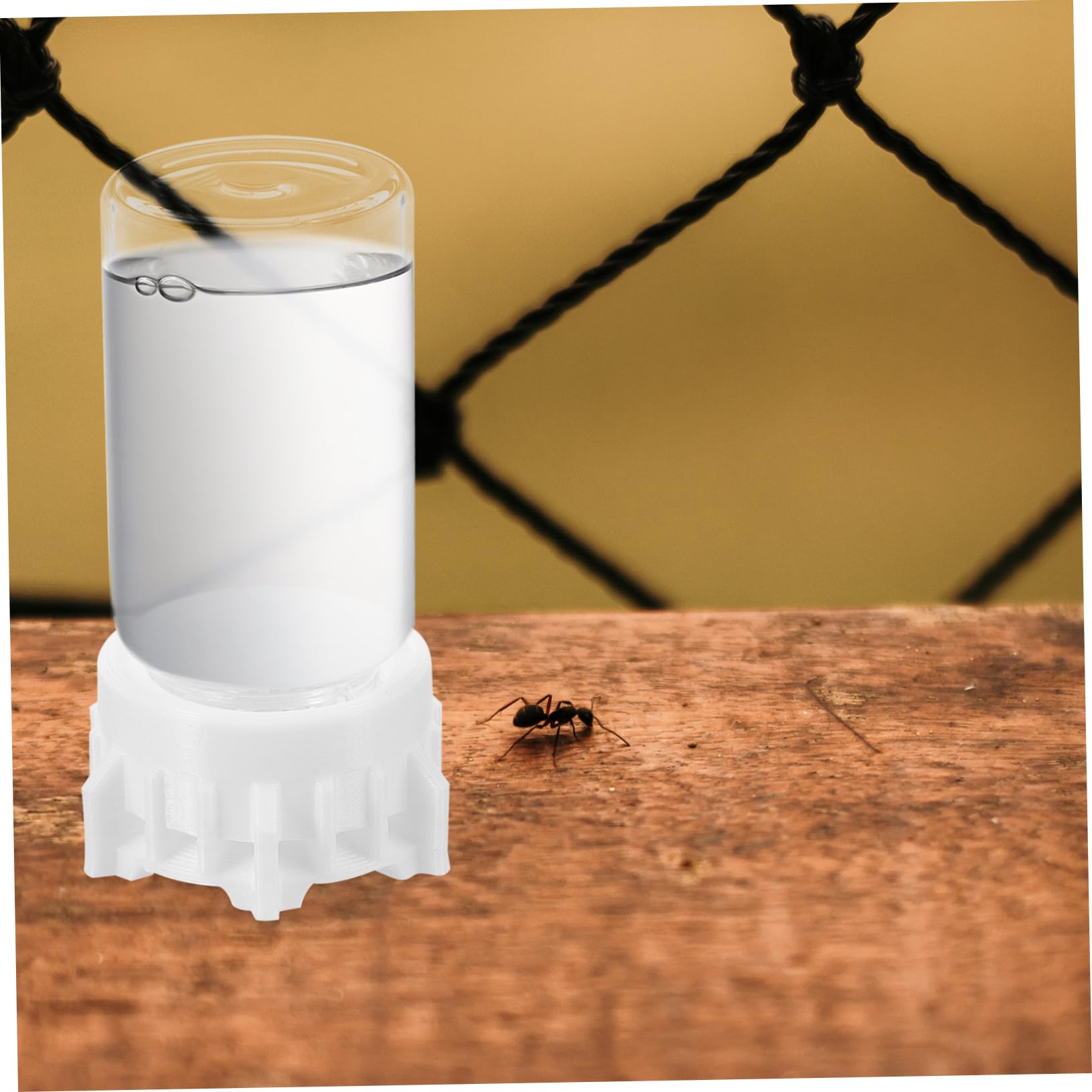 POPETPOP Bebedero para Hormigas de 20ml Diseño Profesional y Resistencia al Desgaste, Dispensador de Agua de Vidrio y Plástico Adecuado para Observación Científica en Verano