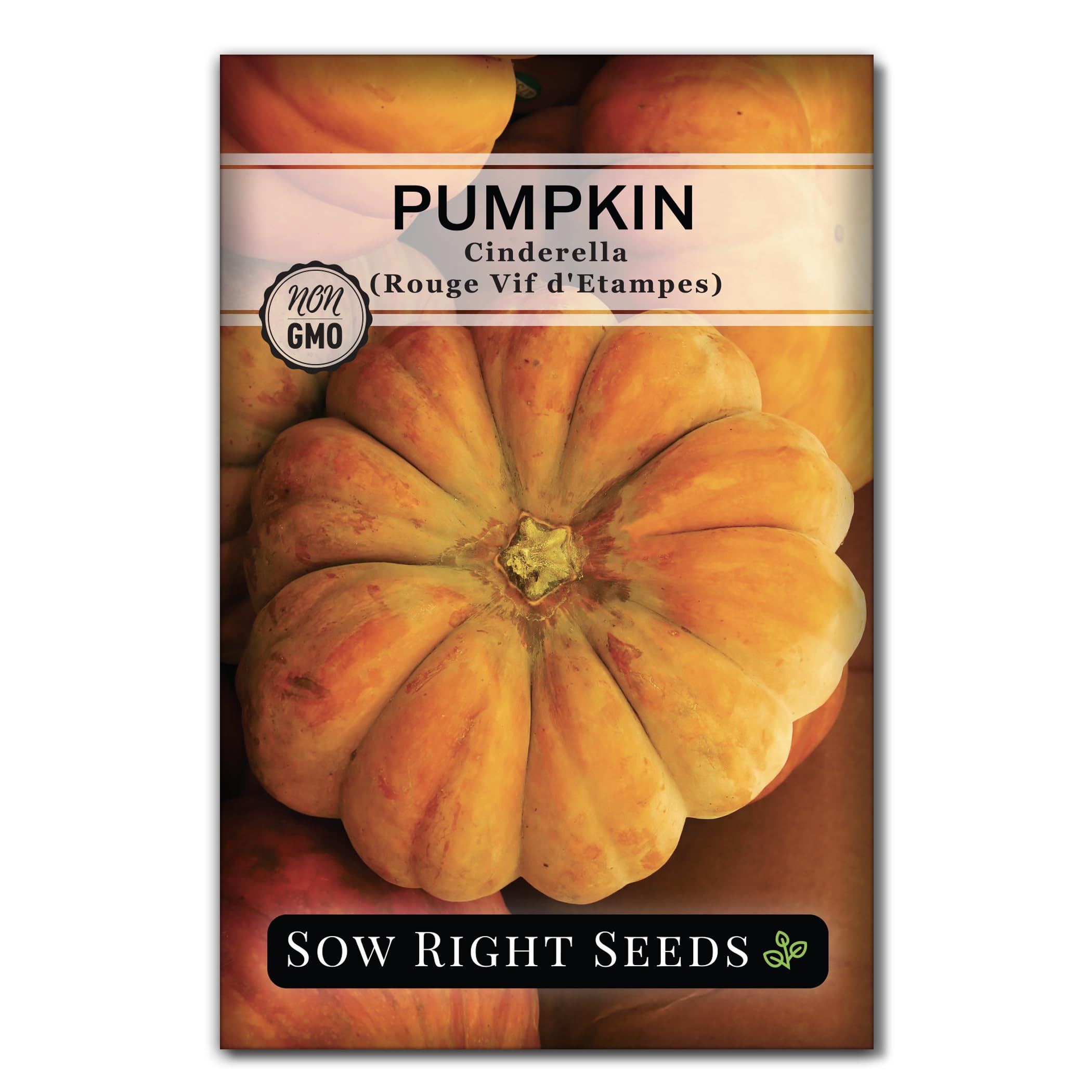Amazon.com : Sow Right Seeds - Cinderella Pumpkin Seeds for