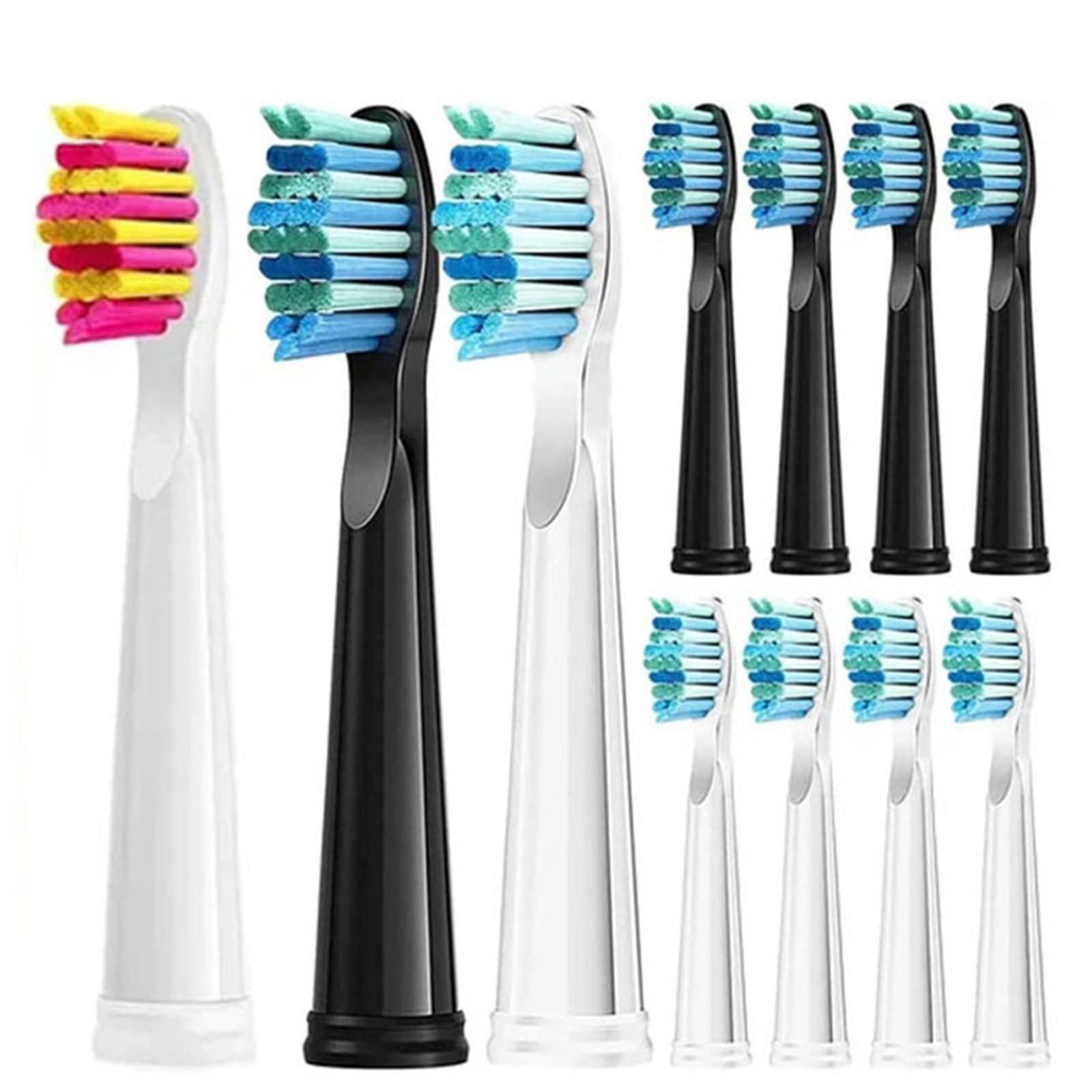 Testine, compatibile con Seago, SG-503 SG-507 SG-513