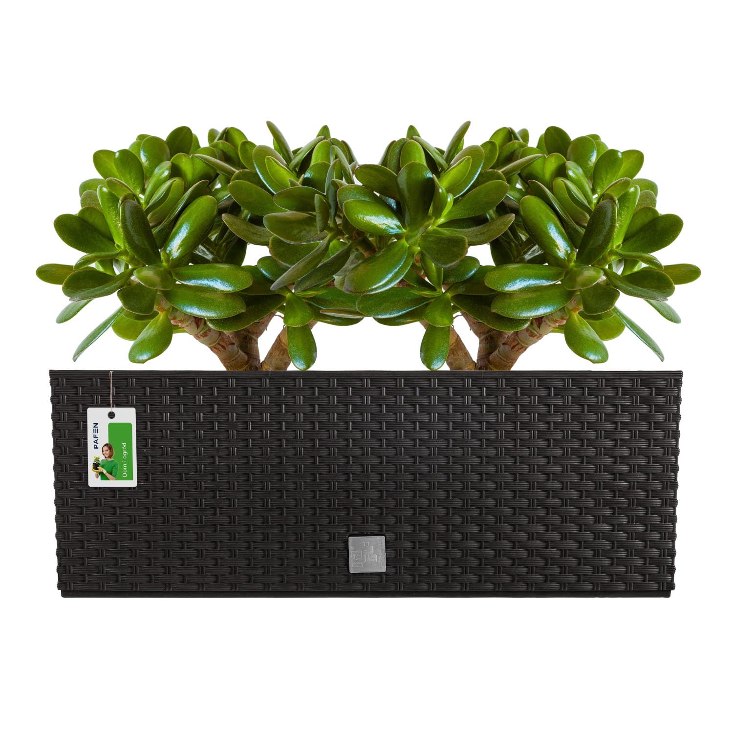 PAFEN 4X Blumenkasten Blumentopf Rattan-Optik mit Halterungen Pflanztopf Wasserstandsanzeiger Balkonkasten Pflanzkästen