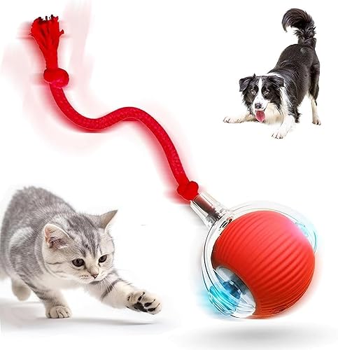 2026 Nuevos juguetes interactivos para gatos de interior, bolas de gato activadas por movimiento con movimiento automático inteligente de 360 para