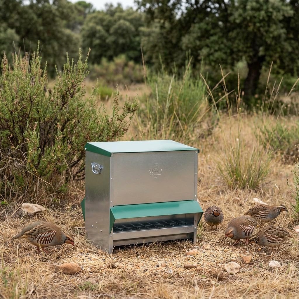 Suinga Comedero para Pajaros de Exterior de Acero Inoxidable con Tapa, 51x46x52 cm - Tolva para Aves Perdices