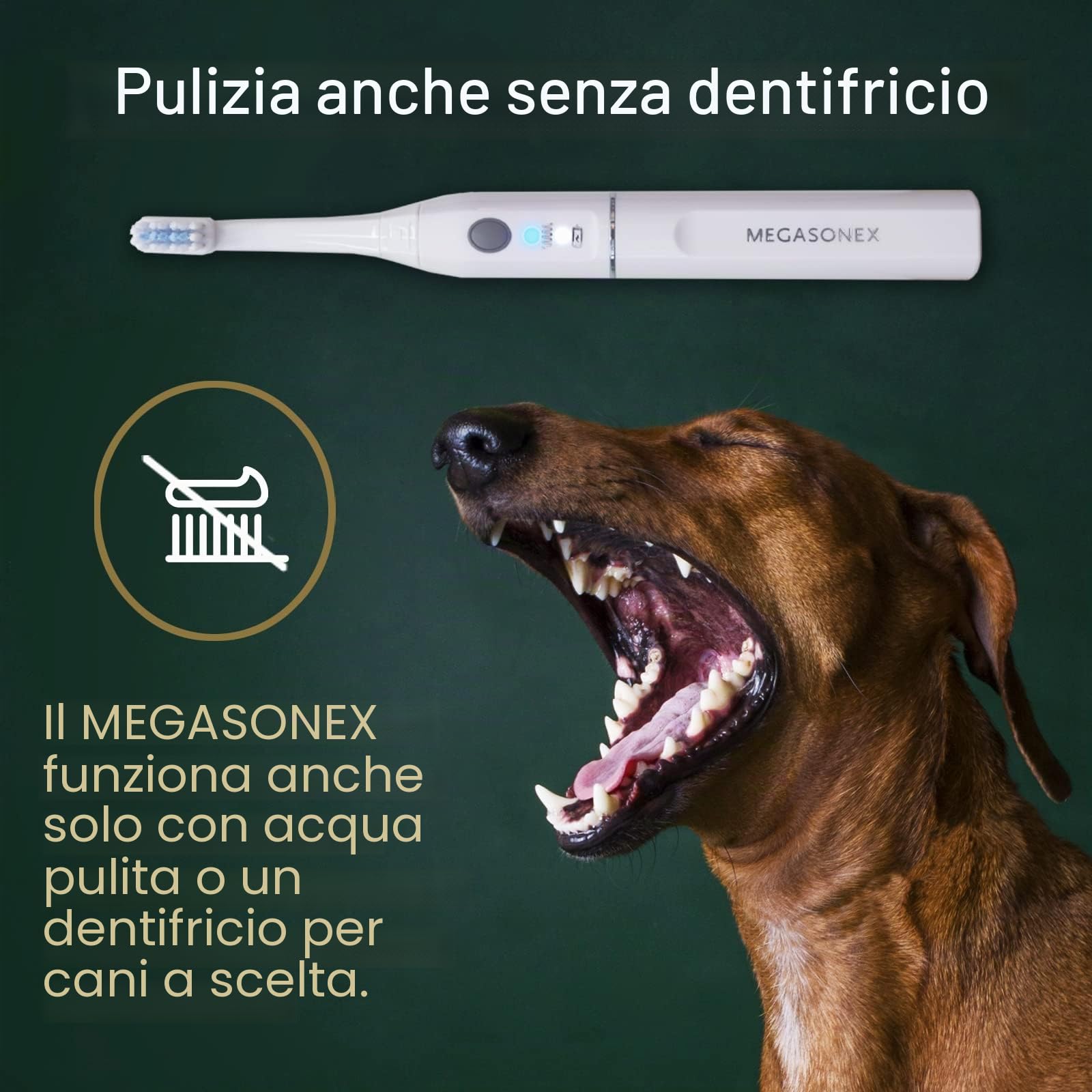 Megasonex, spazzolino da denti per cani, a ultrasuoni