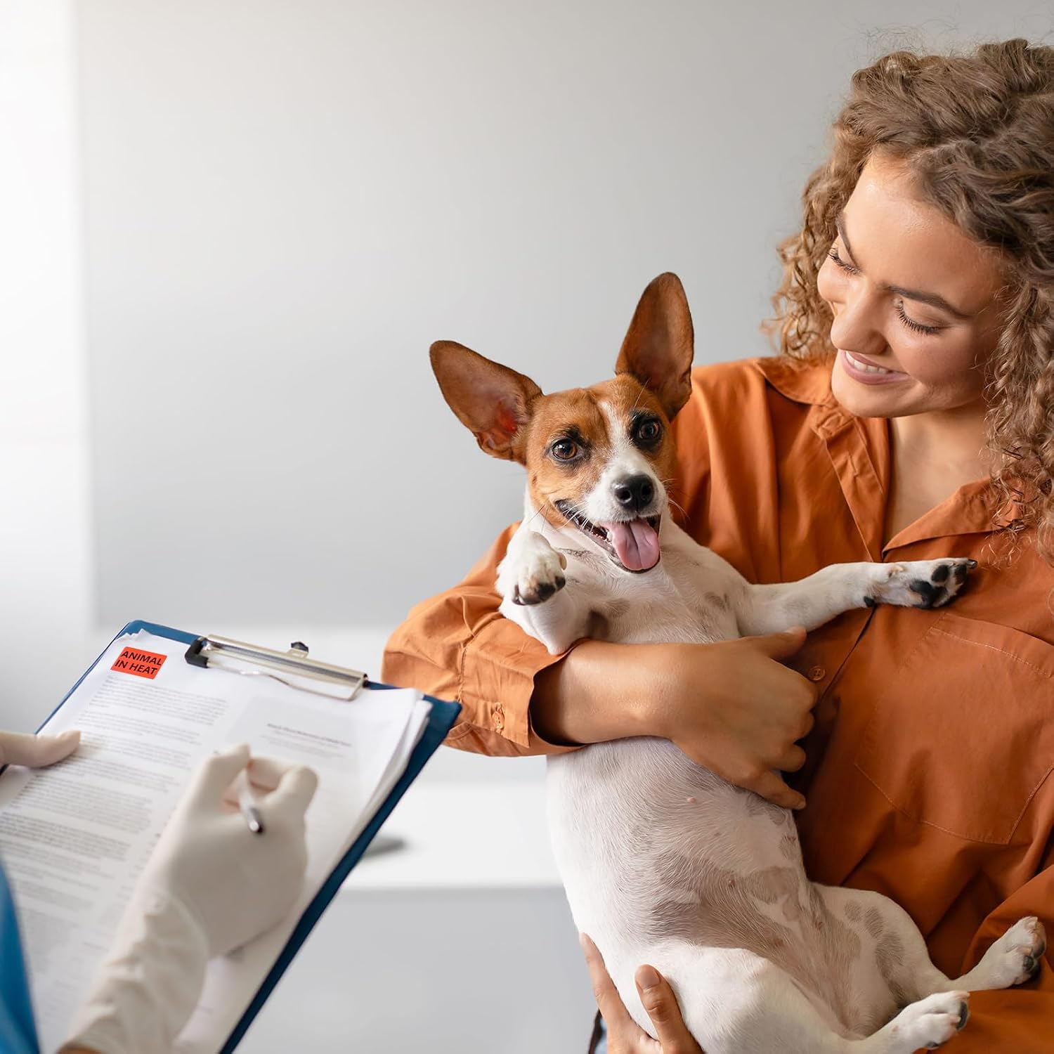 500 Pcs Animal in Heat Veterinary Fluorescent Orange-Red Labels - 1 x 1.5 Inch Pet Care Instruction Stickers for Animal Clinics, Shelters, Pet Stores or Party Rave