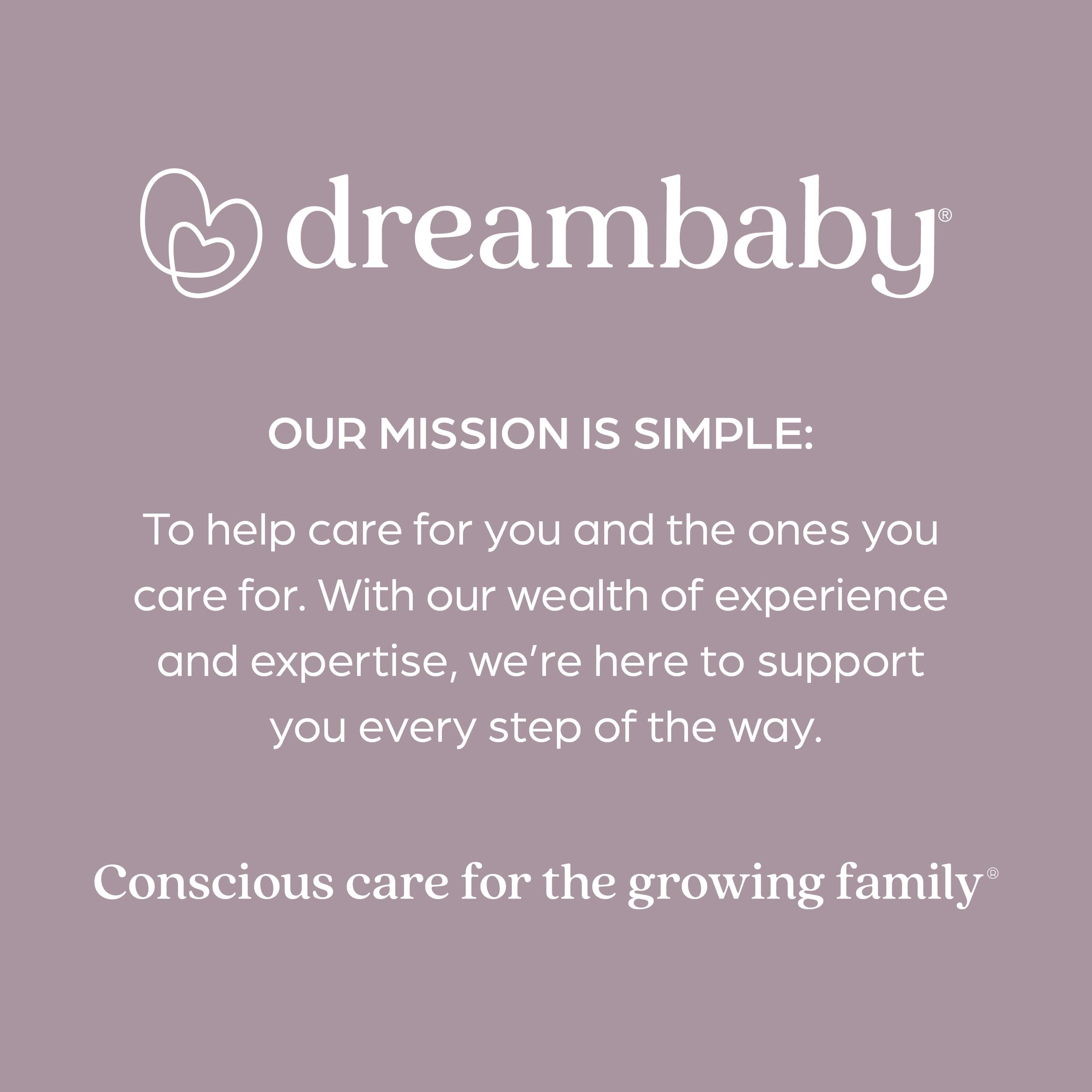Dreambaby Praga osłona relingów do łóżka dla maluchów - składana i przenośna bariera bezpieczeństwa dla małych dzieci - pasuje do materacy w rozmiarze pojedynczym do king size z płaskimi podstawami -
