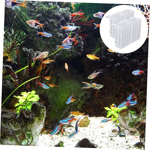 Miniatura 6 de FOMIYES Cesta colgante para plantas, 4 piezas, soporte para plantas de acuario, decoración de pecera, soporte para plantas de acuario con gancho,