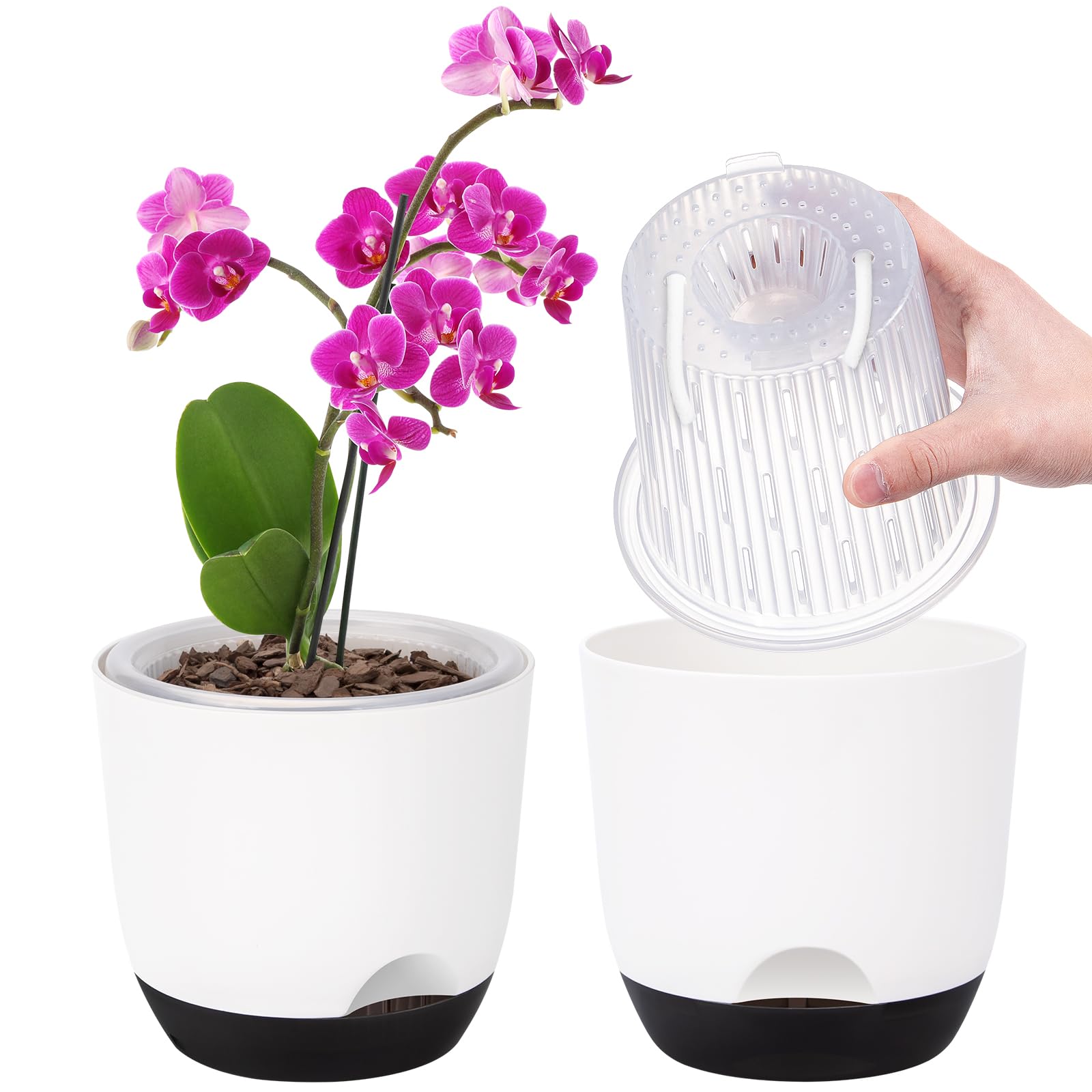 QCQHDU 2er-Set Orchideentopf Groß