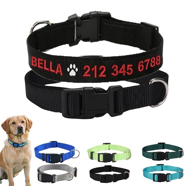 Collar de perro con nombre y número de teléfono bordado