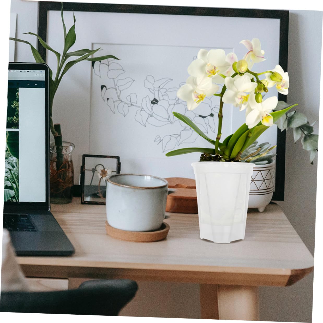 Blumentöpfe Selbstbewässernde aus PP für Orchideen