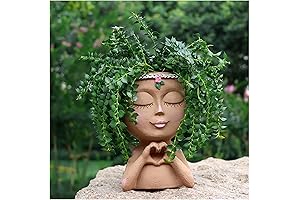 Artistic Meltset Face Planters