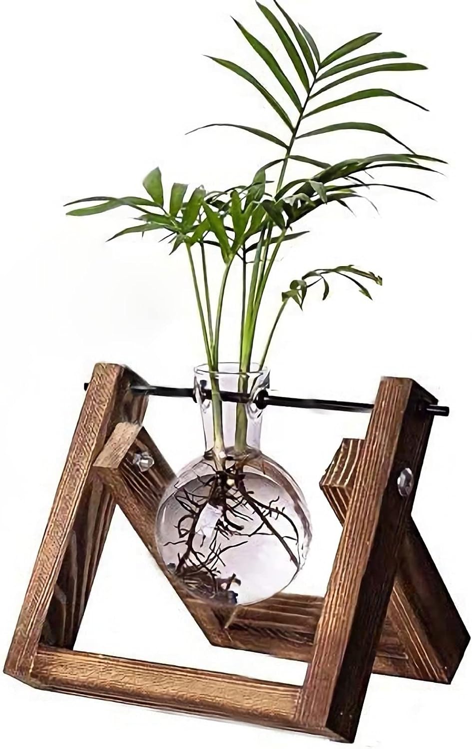 Top 5 Best Bulb Vases and Propagation Vessels for Plant Lovers in 2026 - PlantNative.org Ivolador Desktop Glass Planter Bulb Vase with Wooden Stand