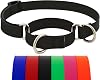LupinePet Waterproof Splash Martingale Dog Collar, Jet Black, 34-inch Wide, adjusts 10-14, Made with BioThane