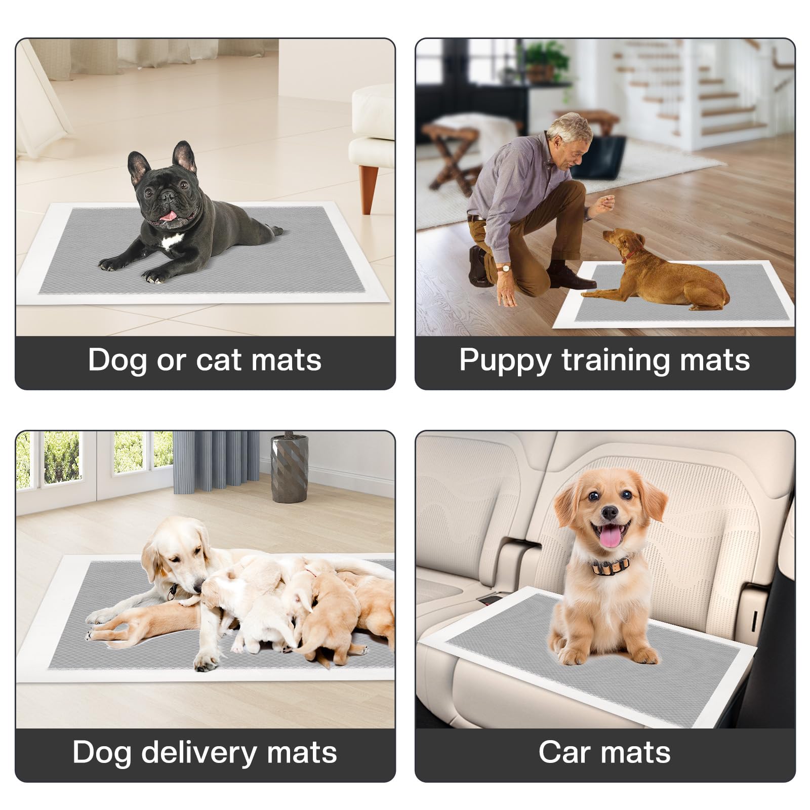 40 Pezzi Tappetini Igienici per Cani 60X60cm - Tappetini Monouso per Cane - Tappetini al Carbone con Controllo Degli Odori