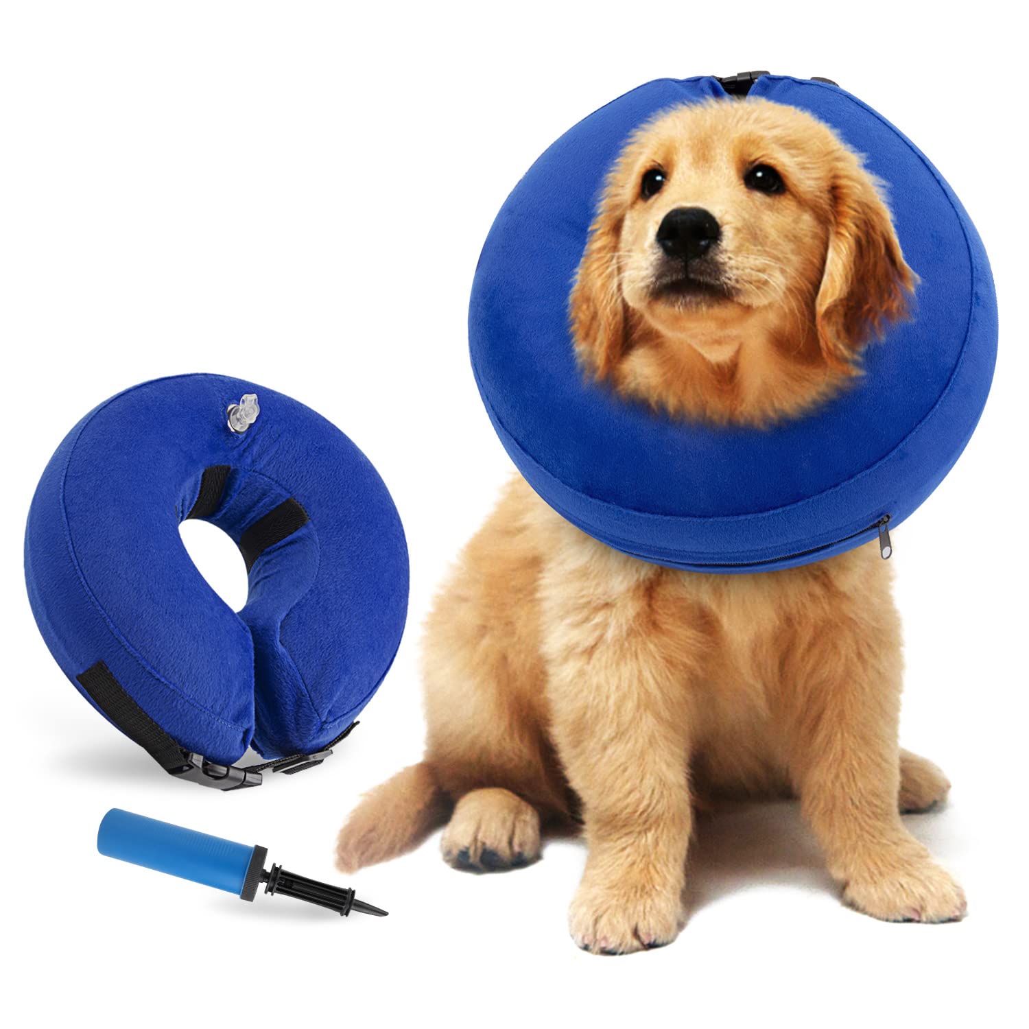 What Happens If My Dog Licks His Stitches