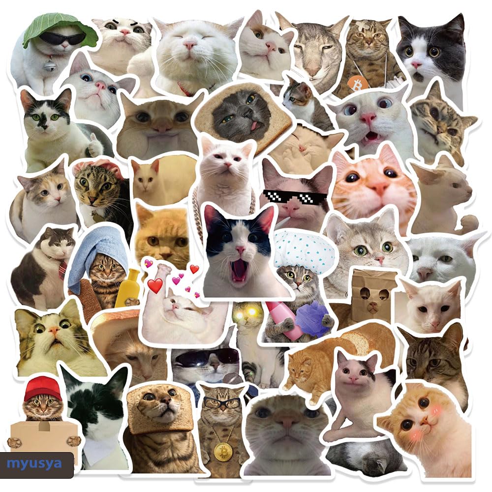 myusya 50 Pcs Cat Stickers,Funny Cat Meme,Waterproof Vinyl Stickers for Laptop Phone Guitar Water Bottles Luggage