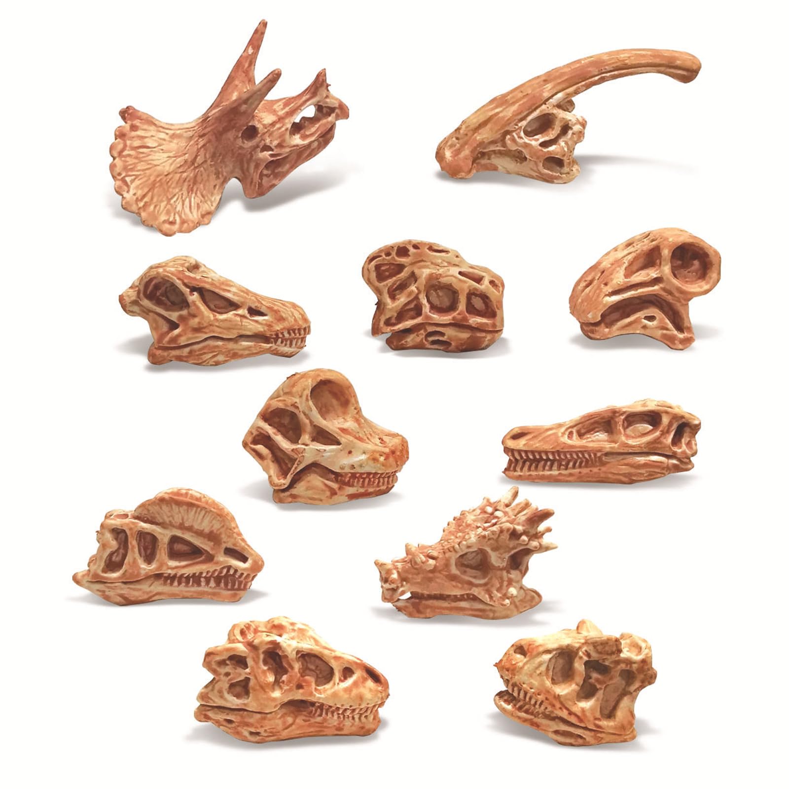 Tazweeq 11 Pcs Mini Dinosaur Bones, Dinosaur Fossil Skeleton, Dinosaur Skeleton Toys, Sandbox Kids Toys, Realistic Fake Dinosaur Bones,Kids Toys Dinosaur Bones for Kids to Dig Up