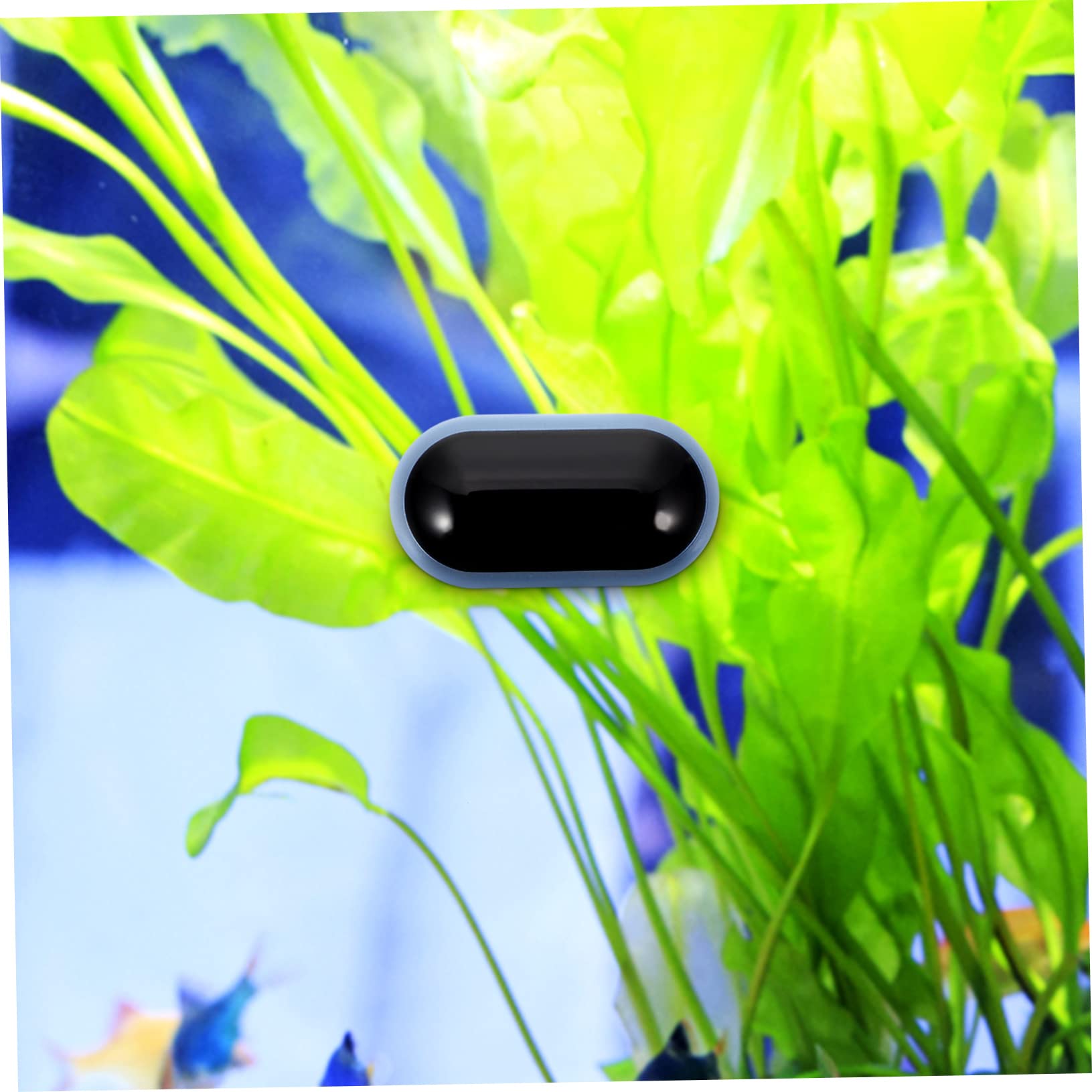 BESPORTBLE 4stücke Digitaler Aquarium Thermometer Wasserthermometer Mit Großer -anzeige Für Präzise Temperaturmessung Im Fischbecken Terrarium Und Pool Und Einfach Zu Bedienen