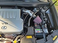 Review Image by Stephen Stearns Stephen Stearns