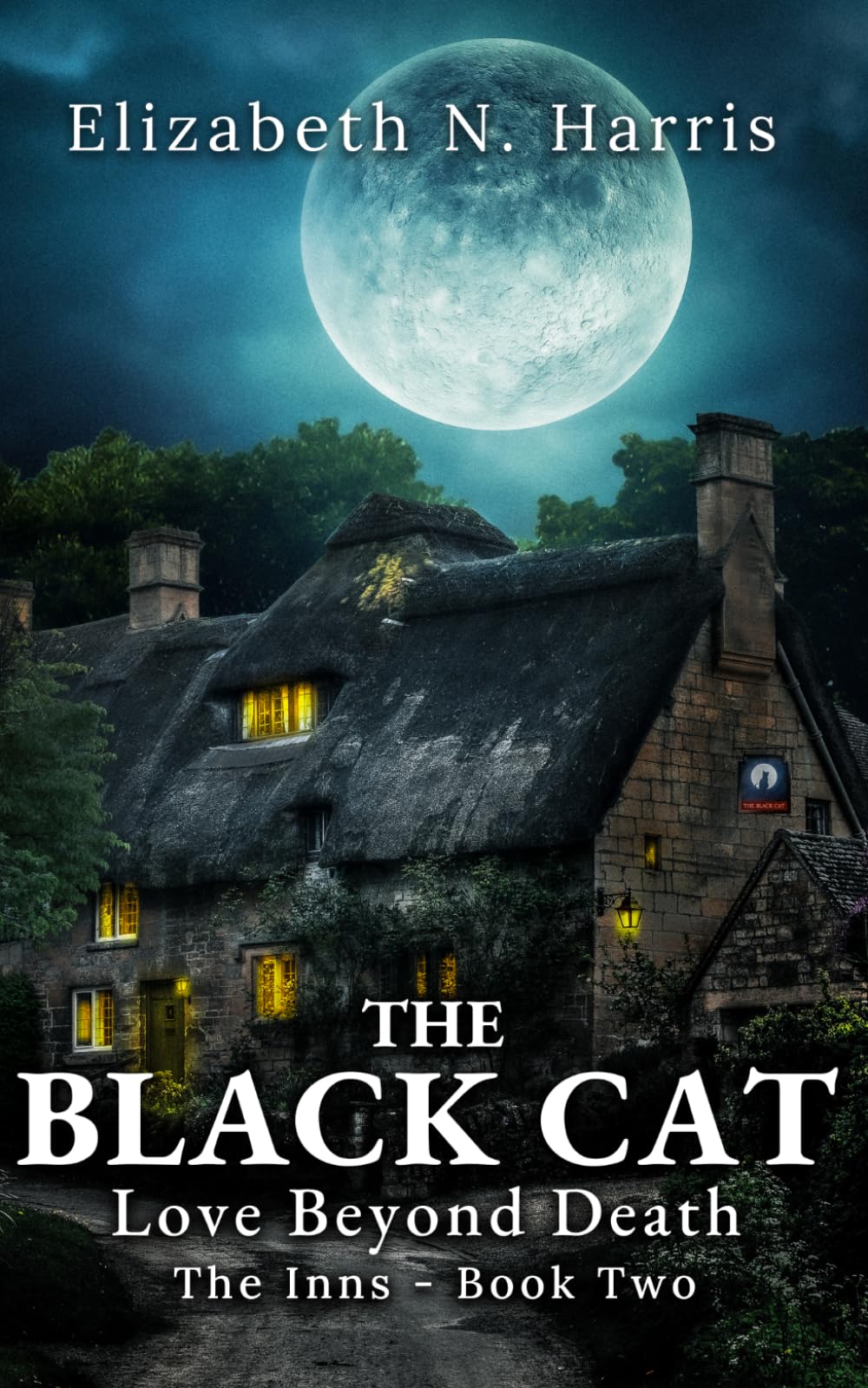 Buy The Black Cat: 2 (Love Beyond Death-The Inns) — BookShops.in