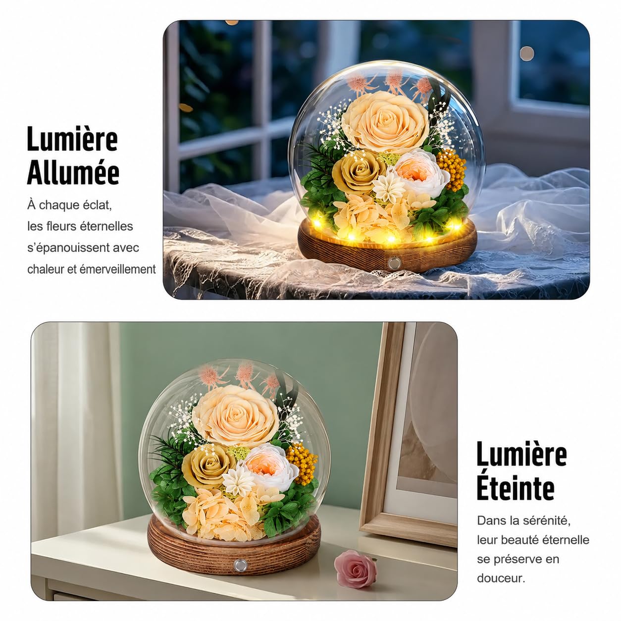 Rose Eternelle sous Cloche avec LED, Fleur Eternelle Cadeau, Boite Rose Eternelle, Cadeau pour Femme, Copine, Amie, Mere, Grand Mere, pour St-Valentin, Anniversaire, Fete des Meres (Champagne)