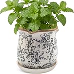 Planters en céramique pour les plantes intérieures avec Saucer, 6 inch Pots de plantes à glaçons avec trous de drainage, pots de fleurs décoratifs pour jardin extérieur, pot toscan pour plante