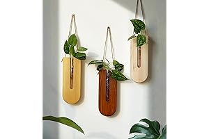 Indoor Wall Planter