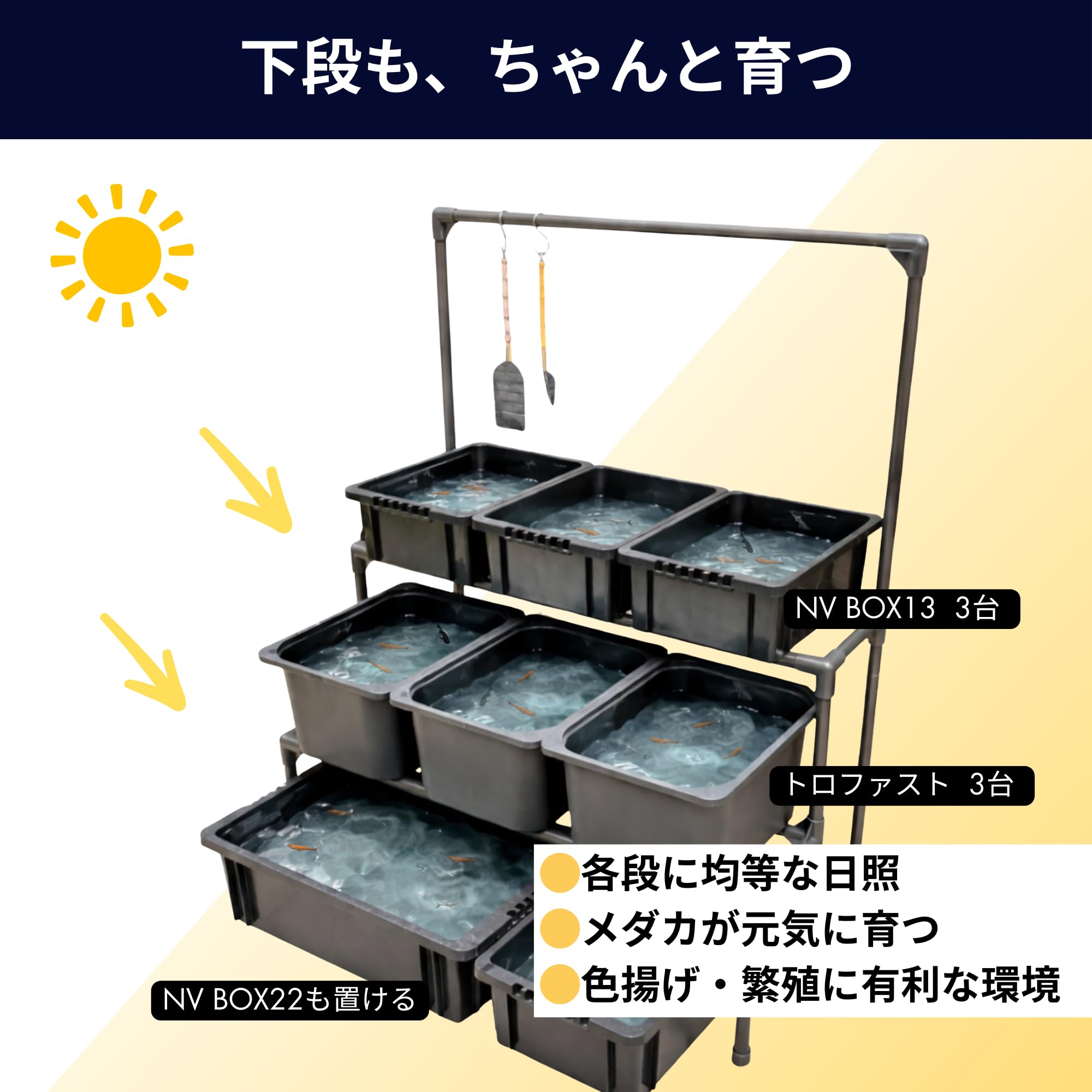 めだか選別網NVボックス用ー5本 【公式通販】