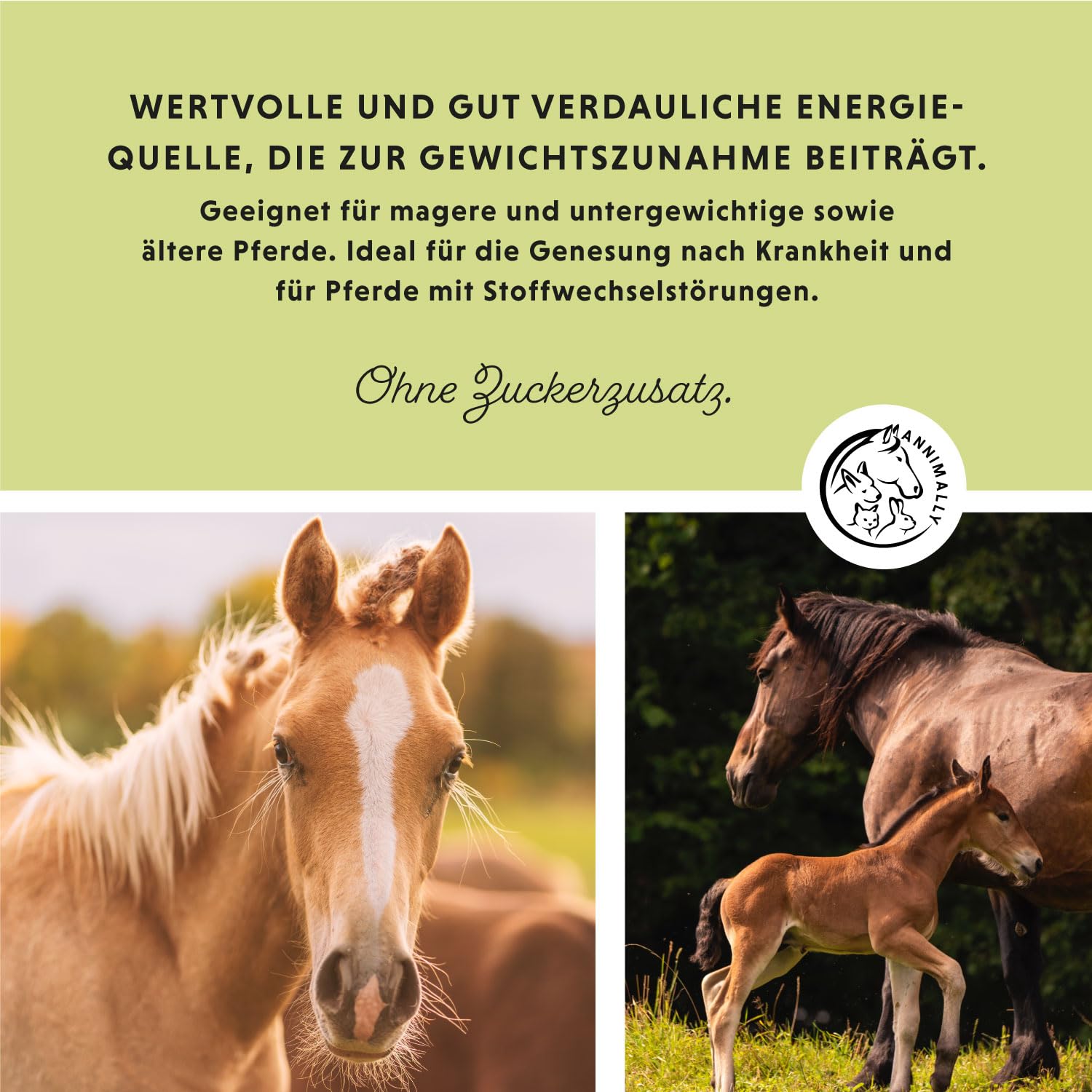 Annimally Polvere Weight Gainer per Cavalli – Mangime Complementare in Polvere con Proteine di Soia, Olio di Semi Canapa, Bockshornklee, Luzerne e Pfefferminze – Alimento Complementare per Cavalli