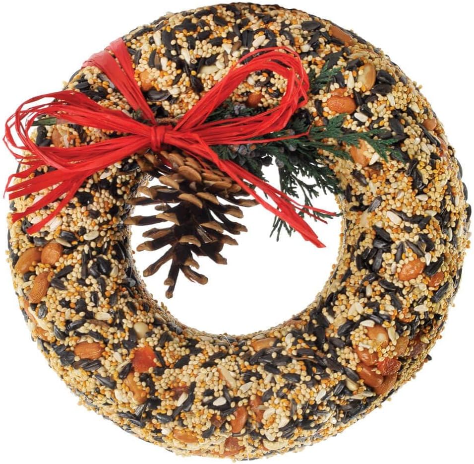Mr. Bird Wildfeast Bird Seed Christmas Wreath: 9″ Solid Seed, Nut and Fruit with Raffia Bow