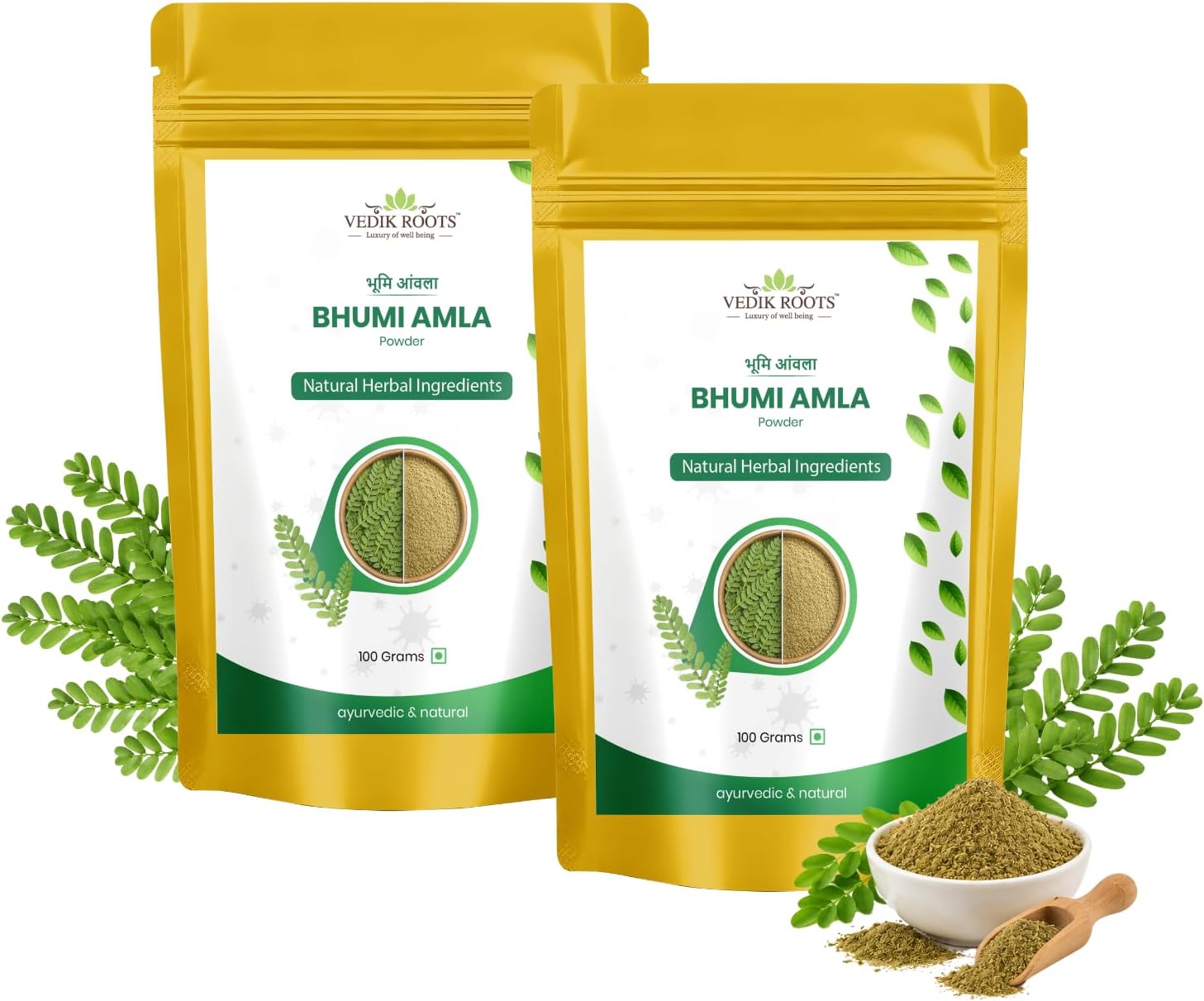 Bhumi Amla Powder/Churn - Organic and Pure Ingredient Extract for Healthy Liver Functioning and Digestive Strength Enriched with Essential Nutrients