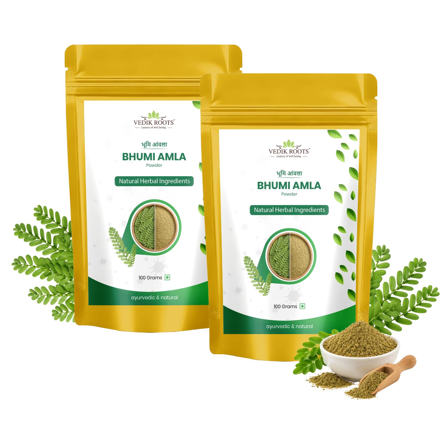 Organic Bhumi Amla Powder - Rich in Antioxidant Vitamin C - Supports Healthy Immune Function 100 Gm (Pack of 2)