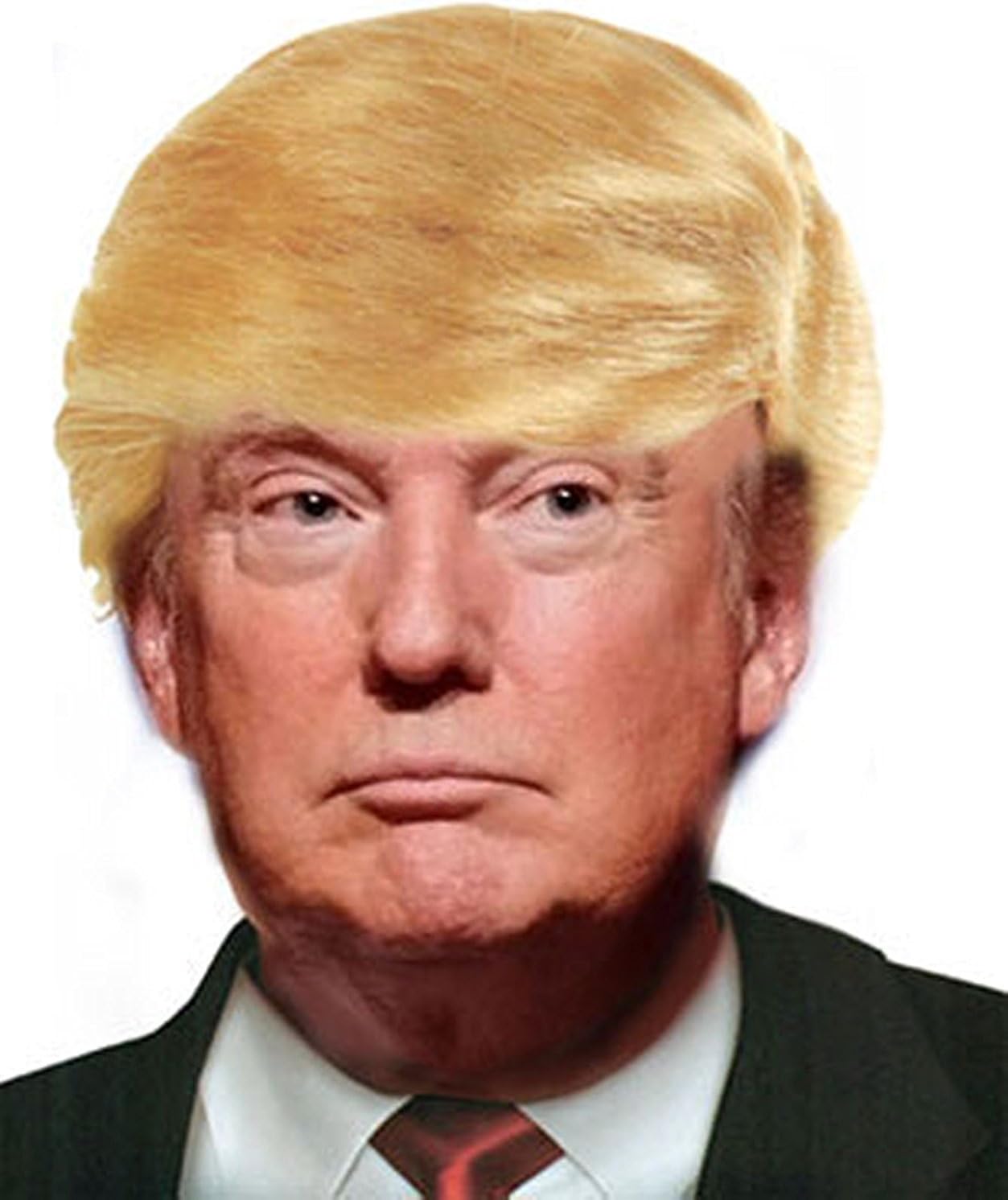 Donald Trump Billionaire Wig Adult Halloween Accessory, blond, adult size