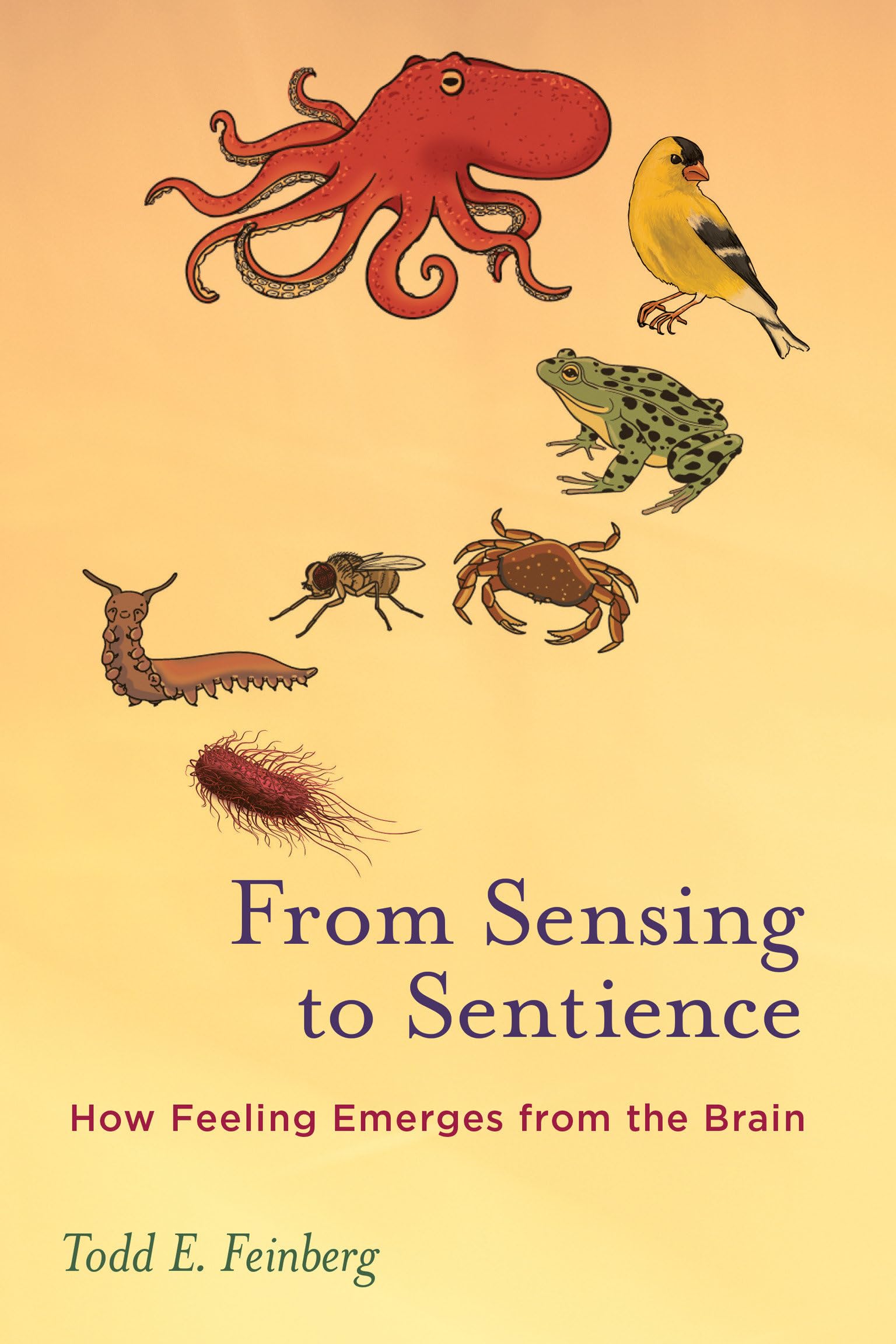 From Sensing To Sentience