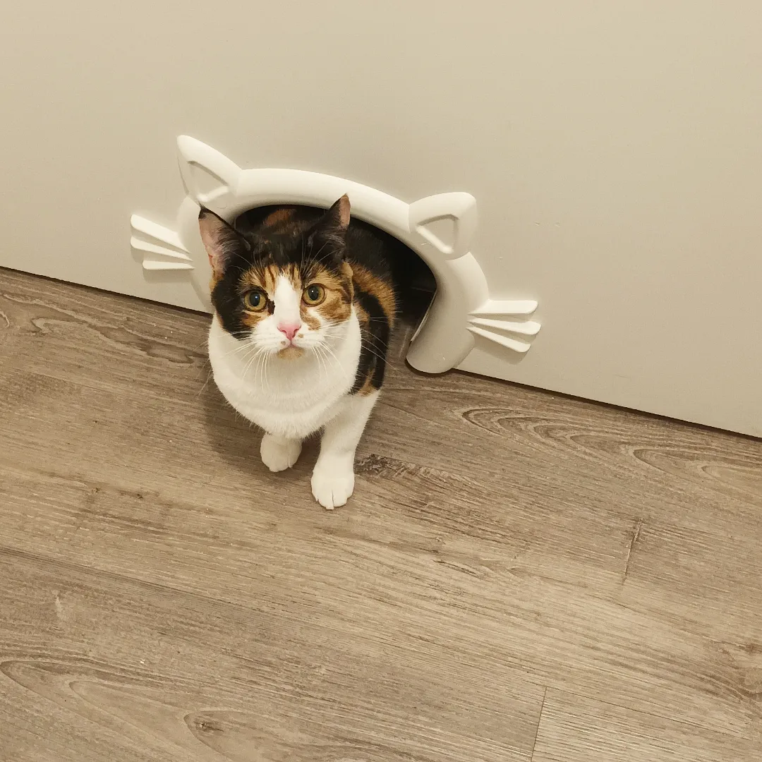 PetSafe Cat Corridor Interior Pet Door, For Small, Medium and Large