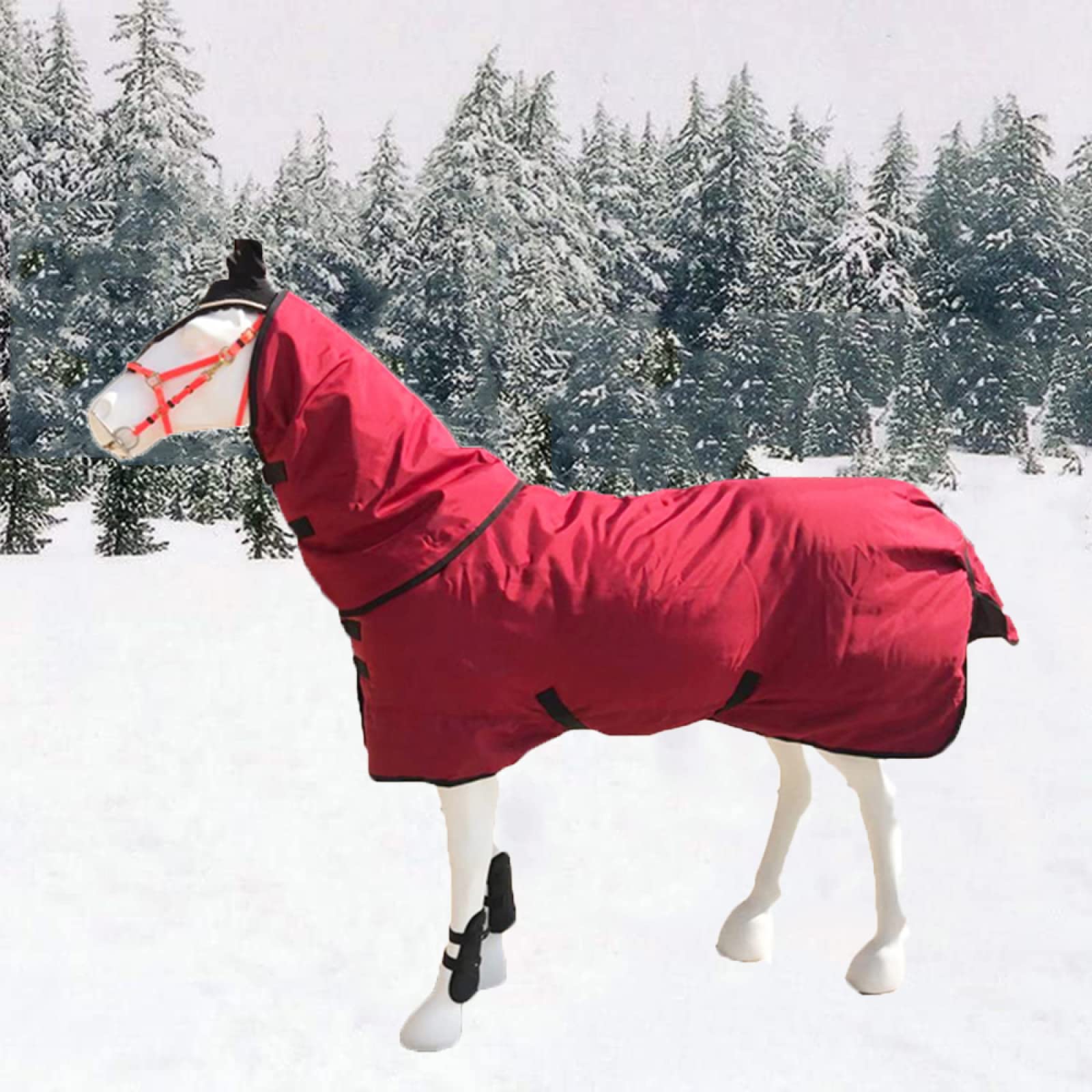 Couverture d'hiver pour chevaux au pré 165cm protection intégrale paddock