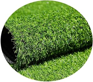 Outdoor Artificial Grass Carpet, Green Encryption Fake Grass Mat Garden Stadium Kindergarten Decoration, 30mm Pile Height (Size : 2x4m) ()
